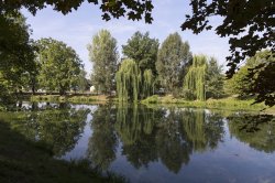Stromovka lake