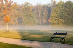 Stromovka Park in autumn